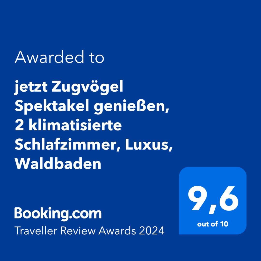 5 Sterne Bahnhoftraum, Appartement "Waldliebe" 133Qm, Grosse Terrasse 70Qm, Qr Code Scannen Fuer Virtuellen Rundgang, Premium Ausstattung 布劳恩费尔斯 外观 照片