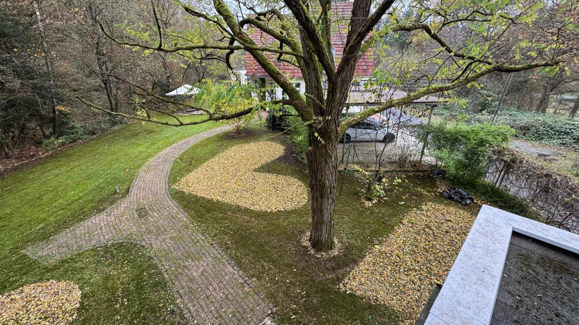 5 Sterne Bahnhoftraum, Appartement "Waldliebe" 133Qm, Grosse Terrasse 70Qm, Qr Code Scannen Fuer Virtuellen Rundgang, Premium Ausstattung 布劳恩费尔斯 外观 照片
